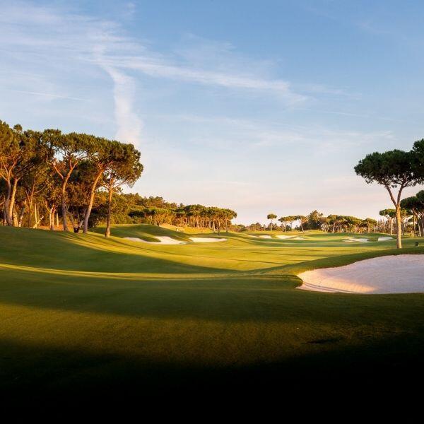 Four Seasons Fairways