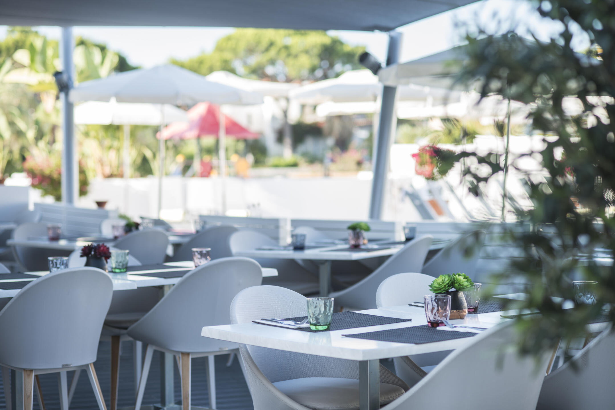 Vivo Bistro & Cocktail Lounge no Four Seasons Fairways - Quinta do Lago