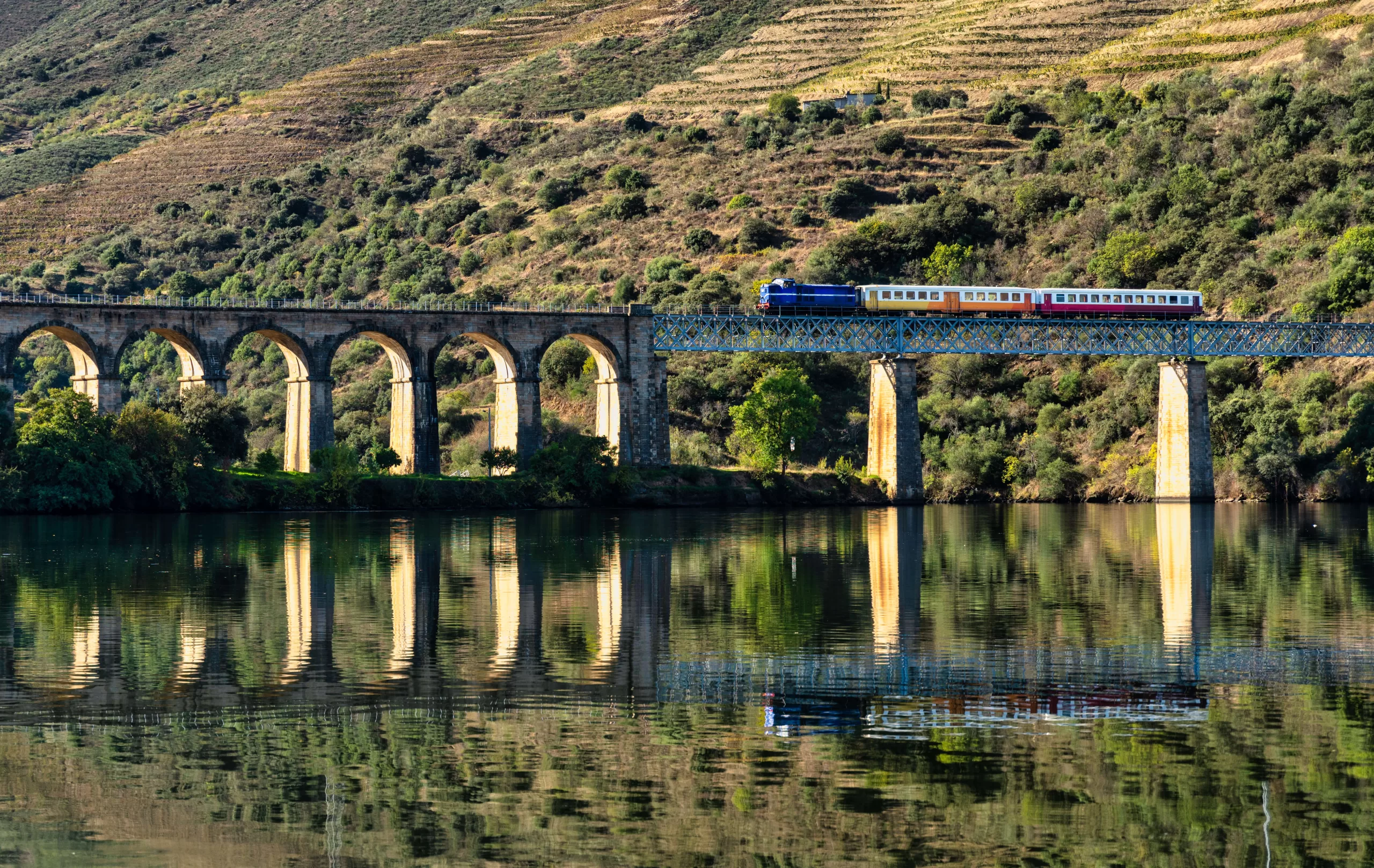 historic-train-on-a-bridge-of-the-douro-line-in-the-middle-of-the-port-wine-vineyards